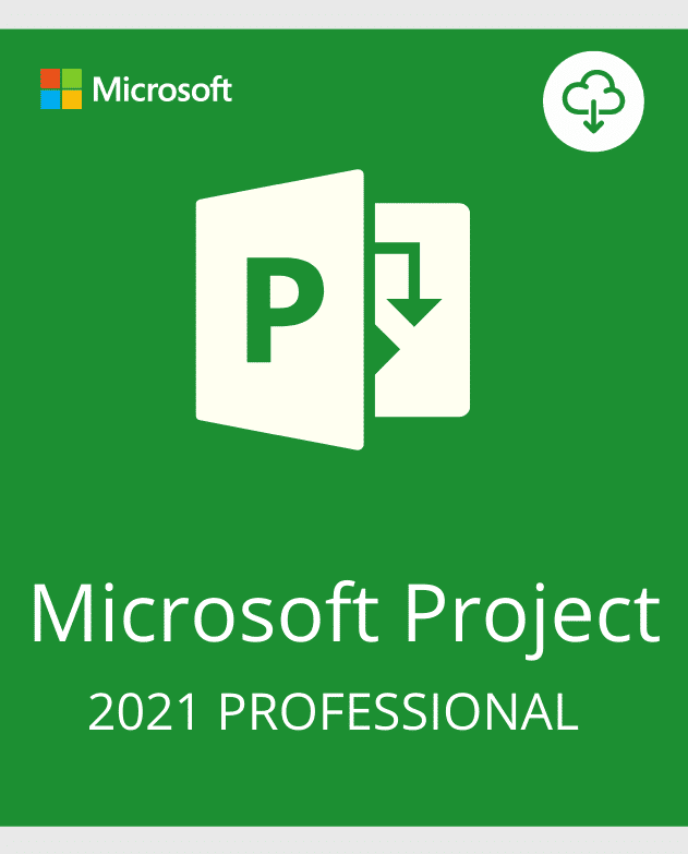 Project 2021 Professional Activation key