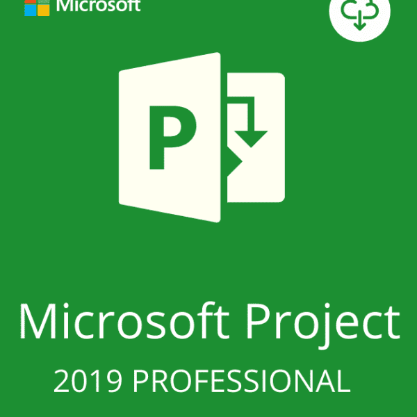 PROJECT 2019 PROFESSIONAL ACTIVATION KEY – (PC)