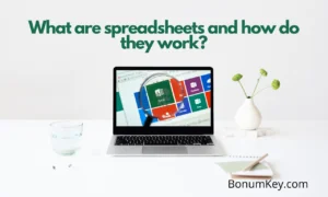 What are spreadsheets the Basics and Functionality?